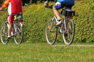 Rode fietsslinger in Eemsmond en de Marne